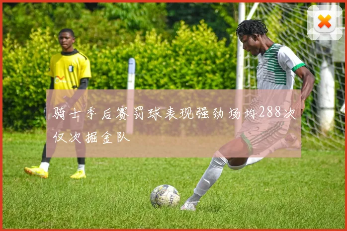 骑士季后赛罚球表现强劲场均288次仅次掘金队